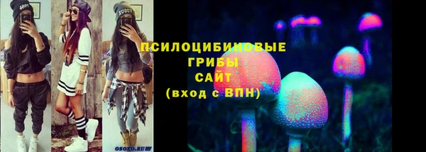 крисы Армянск