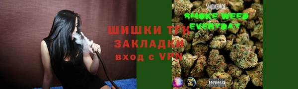 гашик Аркадак