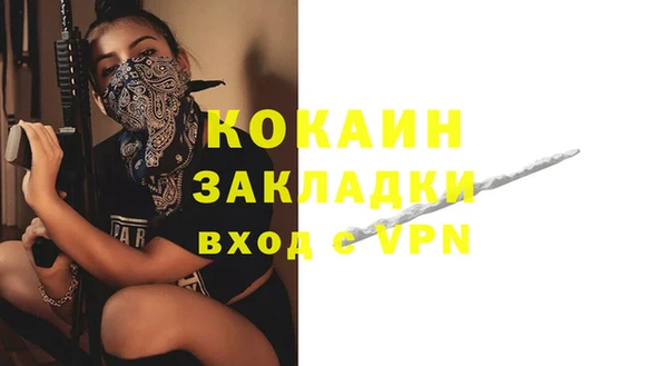 крисы Армянск