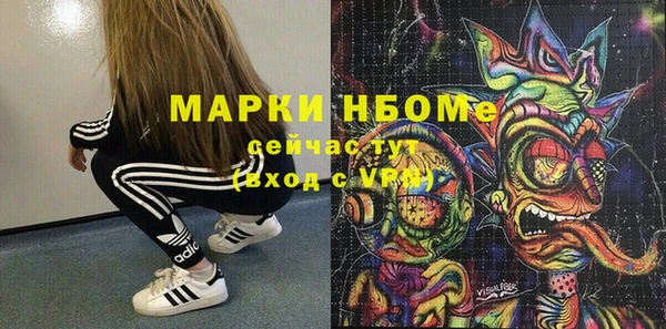 гашик Аркадак