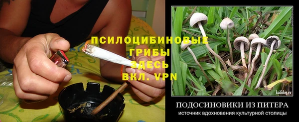 гашик Аркадак