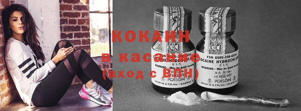 гашик Аркадак